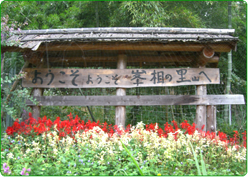 峯相山登山口看板の写真